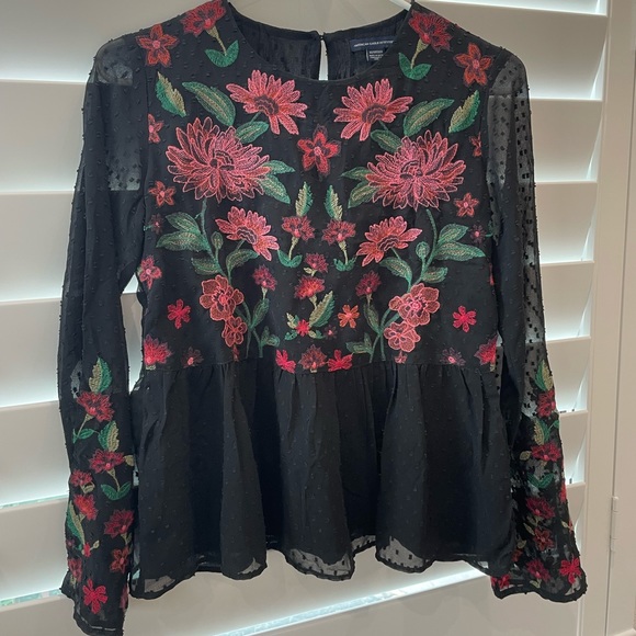 American Eagle Embroidered long sleeve top - Picture 1 of 3